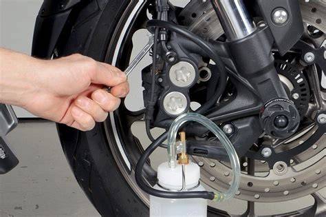 Grafico frequenze sostituzione olio moto