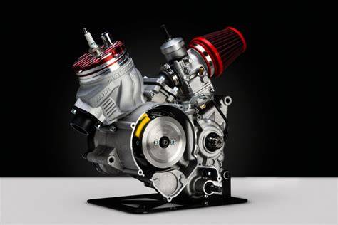 Grafico di confronto prestazioni kit cilindro Malossi Rotax