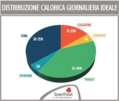 grafico distribuzione carboidrati ciclista