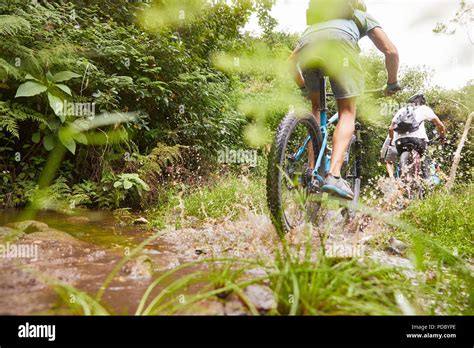 Mountain bike su sentiero fangoso