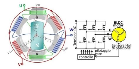 Immagine di alta livello: schema interno statore-rotore