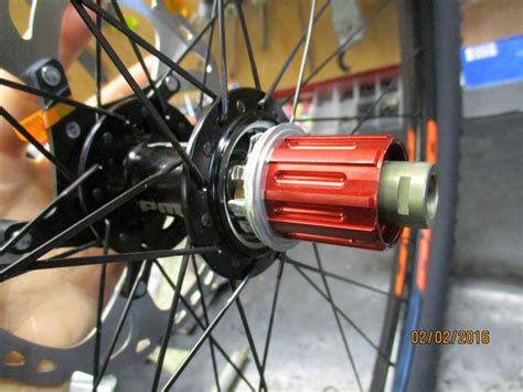 Schema anatomico di una ruota libera Shimano con indicazione dei componenti principali: corpetto, cani, molle, cremagliera, cuscinetti.