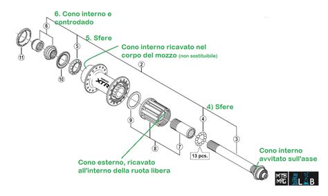 Schema dettagliato del sistema di regolazione dei coni e controdadi di un mozzo Shimano.