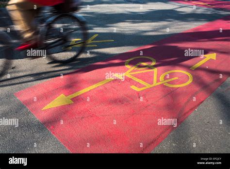 Ciclista in strada trafficata