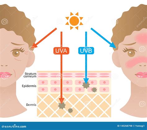 schema danni UV sulla pelle