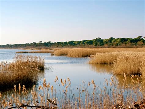 Mappa della Pineta di Ravenna e del Parco del Delta del Po