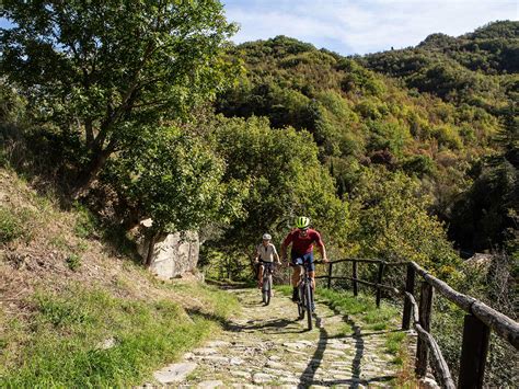 mappa dei percorsi ciclistici di Albino
